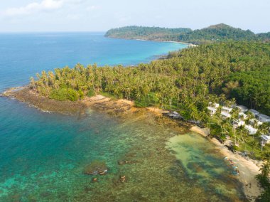 Turkuaz deniz suyu ve Tayland Körfezi 'nin palmiye ağaçları ile güzel kumsal manzarası. Kood Adası, Tayland.