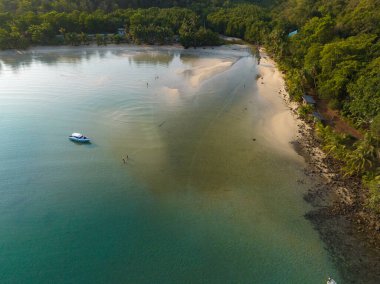 Turkuaz deniz suyu ve Tayland Körfezi 'nin palmiye ağaçları ile güzel kumsal manzarası. Kood Adası, Tayland.
