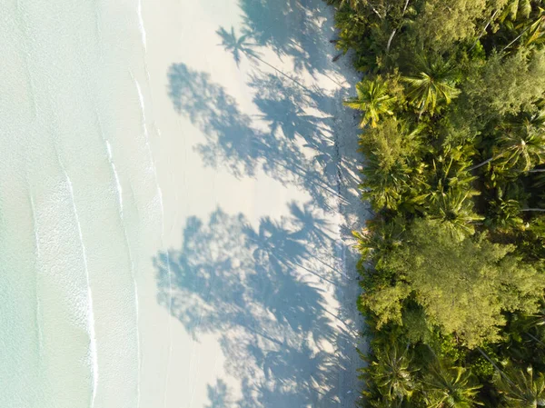 Aerial Drone View Beautiful Beach Turquoise Sea Water Palm Trees — Stock Photo, Image