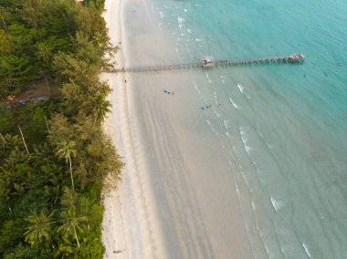 Turkuaz deniz suyu ve Tayland Körfezi 'nin palmiye ağaçları ile güzel kumsal manzarası. Kood Adası, Tayland.