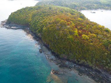 Turkuaz deniz suyu ve Tayland Körfezi ağaçlarıyla güzel kumsal manzarası. Kood Adası, Tayland.