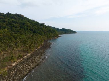 Turkuaz deniz suyu ve Tayland Körfezi 'nin palmiye ağaçları ile güzel kumsal manzarası. Kood Adası, Tayland.