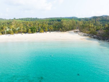 Turkuaz deniz suyu ve Tayland Körfezi 'nin palmiye ağaçları ile güzel kumsal manzarası. Kood Adası, Tayland.