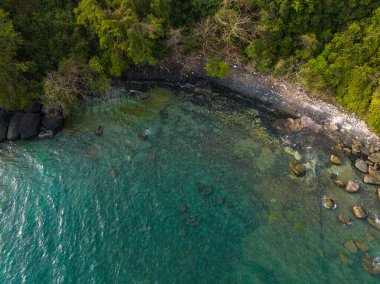 Turkuaz deniz suyu ve Tayland Körfezi 'nin palmiye ağaçları ile güzel kumsal manzarası. Kood Adası, Tayland.