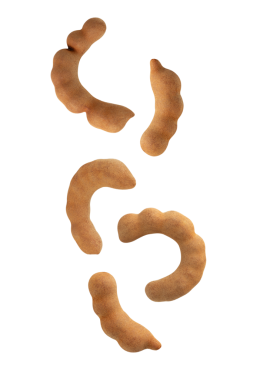 Düşen Tatlı Tamarind, kesme, tam derinlik