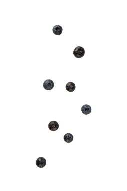 Düşen yaban mersini, kesme, tam derinlik