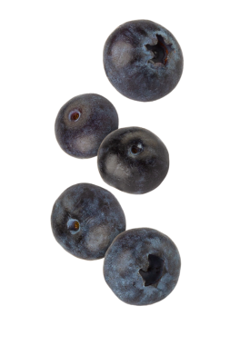 Düşen yaban mersini, kesme, tam derinlik