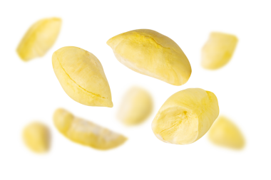 Düşen Durian, kesme, tam derinlik.