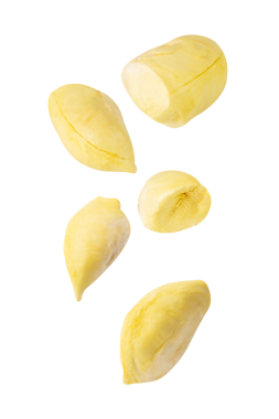Düşen Durian, kesme, tam derinlik.