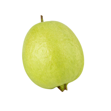 Guava, kes, tam alan derinliği.