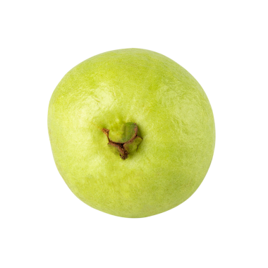 Guava, kes, tam alan derinliği.