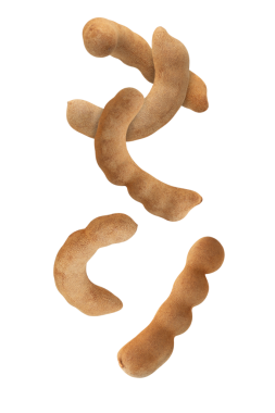 Düşen Tatlı Tamarind, kesme, tam derinlik.