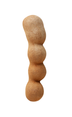 Tatlı demirhindi, kesme, tam derinlik.