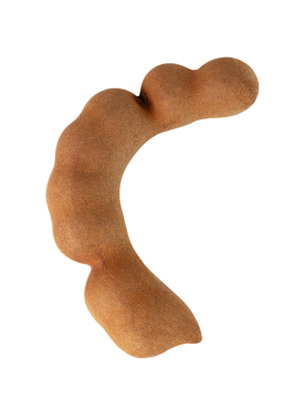 Tatlı demirhindi, kesme, tam derinlik.