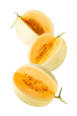 Düşen Kavun kesimi, tam derinlik.