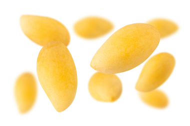 Düşen Sarı Mango, kesme, tam derinlik.