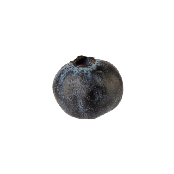 Yabanmersini, kesme, tam derinlik.