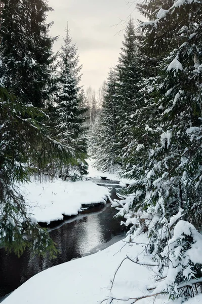 Маленькая Река Снежном Лесу Холодную Зиму — стоковое фото
