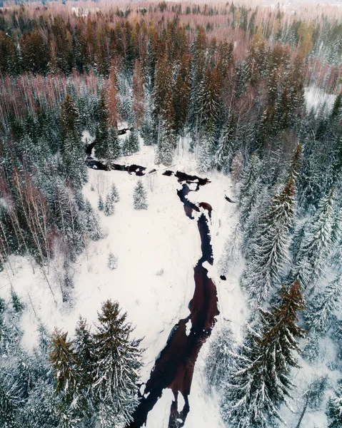 Πουλιά Θέα Του Μικρού Ποταμού Στο Χιονισμένο Δάσος — Φωτογραφία Αρχείου