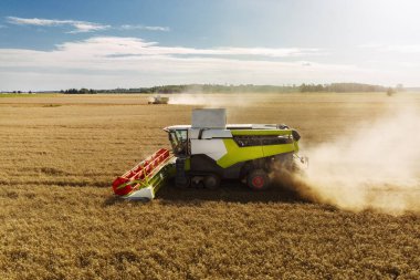 Tarım alanının havadan görünüşü ve tahıl hasadı makineleri güneşli yaz sabahlarında birleşiyor. 