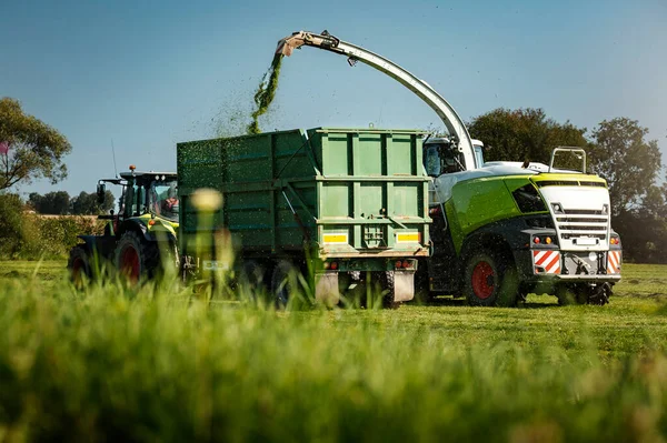 Campo Agricultura Con Tractores Recogiendo Hierba Para Ensilado Final Del — Foto de Stock