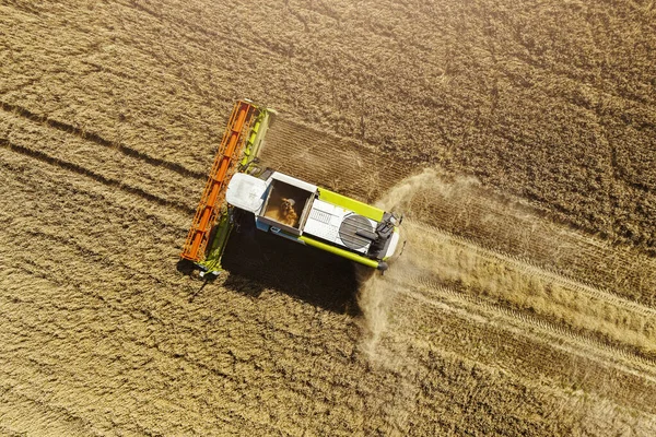 Vista Aérea Del Campo Agrícola Con Cosechadoras Granos Combinan Máquinas — Foto de Stock