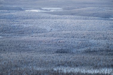 Kışın Laponya. Renkli günbatımında çok kar yağar.