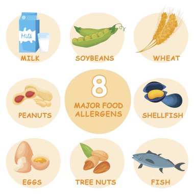 Eight major food allergens. Allergy set. Allergies caused by certain foods. Abnormal body response. Creative icons in cartoon style. Editable vector illustration isolated on a transparent background.