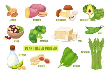 Plant based protein set. Vegetarian ingredients. Healthy natural vegan food. Graphic design. Editable vector illustration in cartoon style isolated on a white background.