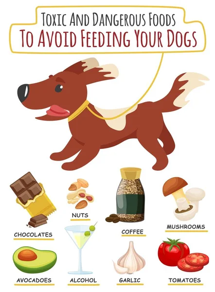 개에게 먹이를 음식을 먹어야 독극물 독극물 독극물 포스터 바탕에 분리되어 — 스톡 벡터