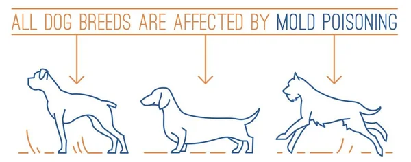Отруєння Цвіллю Поширені Проблеми Вухом Собак Медичний Ветеринарний Горизонтальний Плакат — стоковий вектор