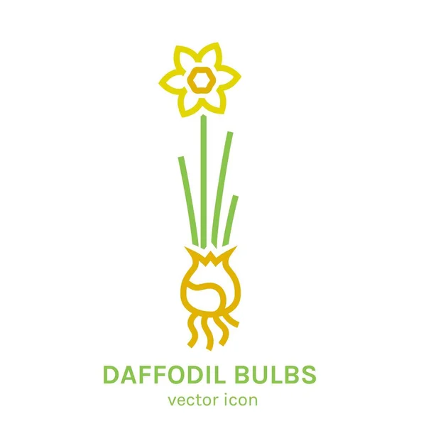 Narcissus Poeticus Disposition Element För Logotyp Symbol Insignier Design Botanisk — Stock vektor