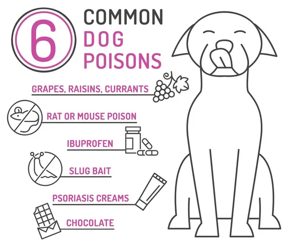 Für Hunde Giftig Ist Humanmedizinische Produkte Ibuprofen Nahrung Rattenschneckenköder Tierärztlicher — Stockvektor