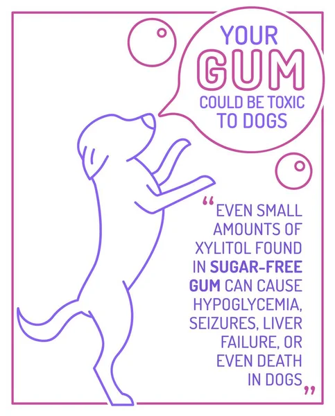 Vilken Mat Som Giftig För Hundar Xylitol Tuggummit Veterinärråd Veterinäraffisch — Stock vektor
