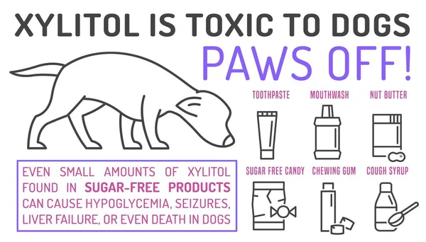 Vilken Mat Som Giftig För Hundar Xylitol Giftigt För Din — Stock vektor