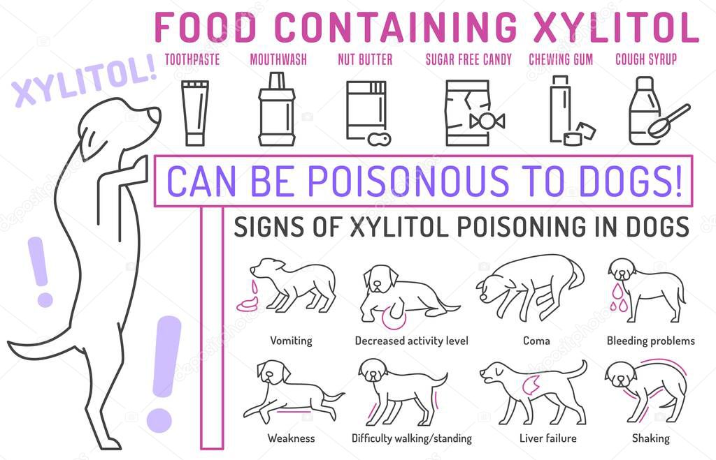 Signos de intoxicación por xilitol en perros. Lo que es tóxico para tu