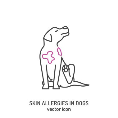Köpek derisi problemi ikonu. Alerji işaretleri. Resim taslağı. Saç dökülmesi, kaşıntı, alerji, kabuklar. Hayvan parazitleri. Beyaz arkaplanda düzenlenebilir vektör çizimi