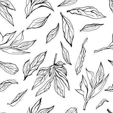 Siyah beyaz desenli çiçek deseni. Botanik yapraklı ince bitkisel arka plan. Mürekkep çizimi. Davetiyeler, kumaş, baskı ve tebrik kartları için harika. Vektör el çizildi