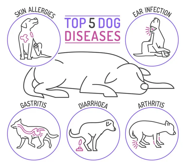 Top Vijf Hondenziekten Huidallergieën Oorinfecties Gastritis Haaienontlasting Artritis Horizontale Medische — Stockvector