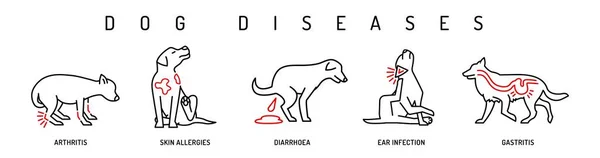 犬の病気のアイコンセット 皮膚アレルギー 耳の感染症 サメの糞便 関節炎 赤色のサインコレクション 白い背景に単離された編集可能なベクトルイラスト — ストックベクタ