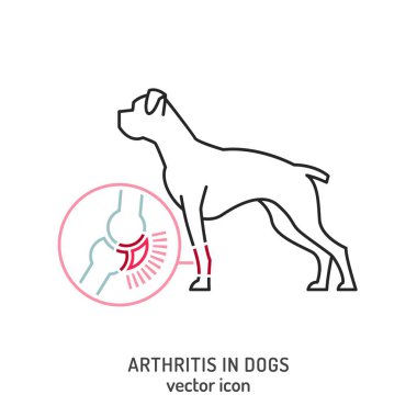 Eklem iltihabı, köpeklerde osteoartrit. Yaygın bir hastalık. Veteriner ikonu. Tıbbi konsept. Hayvan sağlığı. Beyaz bir arkaplan üzerinde özet biçiminde düzenlenebilir izole vektör çizimi