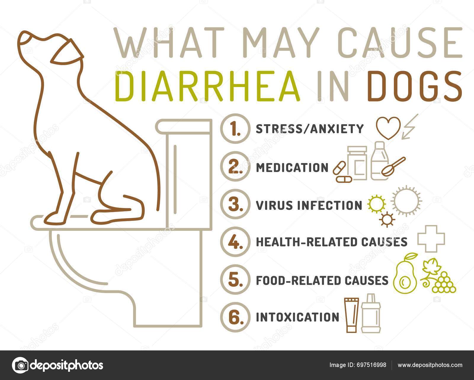What May Cause Diarrhea Dogs Useful Medical Infographic Line Icons