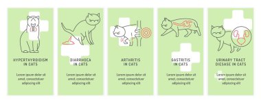 Kedilerin en iyi beş şartı. Yetişkin hayvanlarda yaygın hastalıklar. Doğrusal simgelerle veteriner konsepti. Açık yeşil arkaplanda izole edilmiş vektör çizimi. Peyzaj posteri, bilgilendirici afiş
