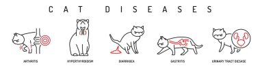 Kedi sağlığı ikonları. Kireçlenme, gastrit, kedilerde idrar yolu hastalığı. İshal, kedilerde iltihap. Beyaz arkaplan üzerinde izole edilmiş satır biçimi ile düzenlenebilir vektör illüstrasyonu