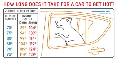 Bir arabanın ısınması ne kadar sürer? Tıbbî bilgiler. Peyzaj veteriner posteri. Faydalı bilgi. Evcil hayvan refahı konseptin. Beyaz arkaplanda izole edilmiş vektör illüstrasyonu