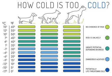 Ne kadar soğuk çok soğuk. Bir köpek için normal sıcaklık. Tıbbî bilgiler. Peyzaj veteriner posteri. Faydalı bilgi. Evcil hayvanının iyiliği için. Beyaz arkaplanda izole edilmiş vektör illüstrasyonu