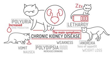 FLUTD in cats. The main symptoms. Useful infographic. Common feline lower urinary tract disease. Veterinarian concept. Editable isolated vector illustration in outline style on a white background clipart