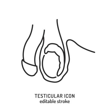 Testicles outline icon. Medical linear pictogram. Testis linear sign in a black color. Editable stroke. Medicine, healthcare concept. Vector illustration isolated on white background clipart