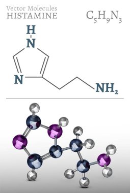 Histamine molecule structure in 3D style. Medical vector illustration in metallic blue and silver colors. C5H9N3 chemical scheme isolated on a light grey background. Scientific, educational concept. clipart