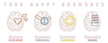 Dört mutlu hormon. Dopamin, endorfin, serotonin, oksitosin. Önemli nörotransmitterler. Taslak simgeli manzara posteri. Beyaz arkaplanda izole edilmiş düzenlenebilir vektör illüstrasyonu.